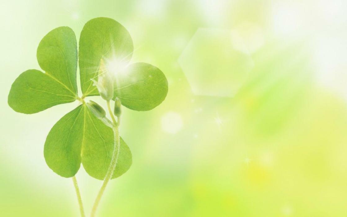 Sapa Clover Hotel מראה חיצוני תמונה